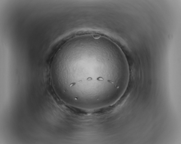 X0000114071494200910051327