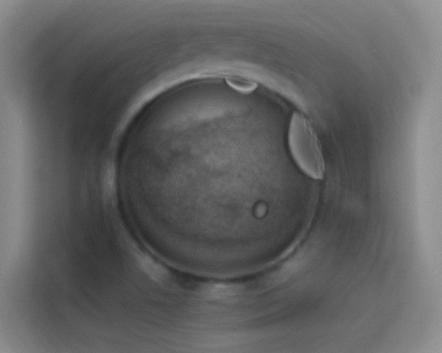 X0000114071506200910051328