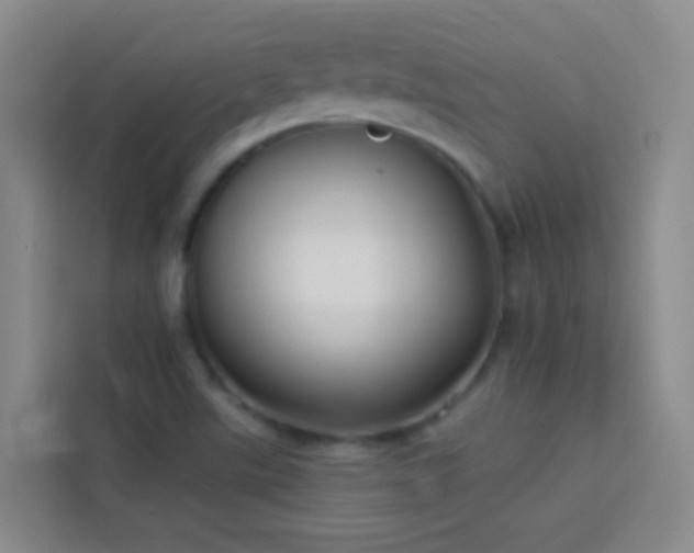 X0000114071507200910051328