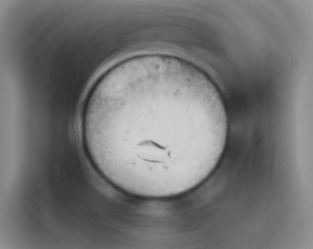 X0000114071514200910051328