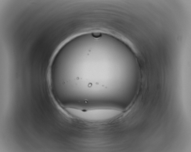 X0000114071516200910051328