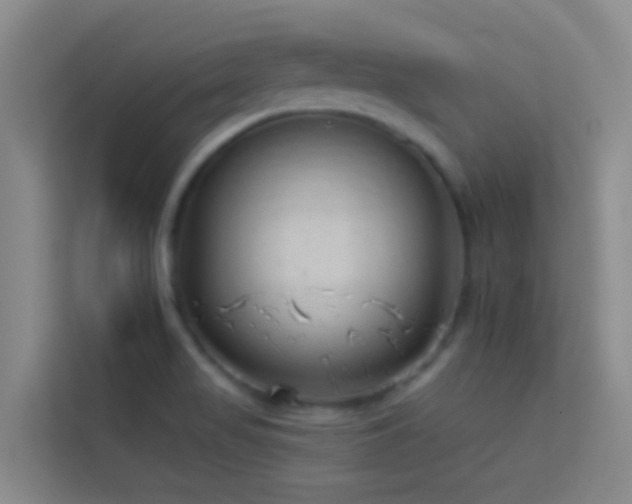 X0000114071517200910051328