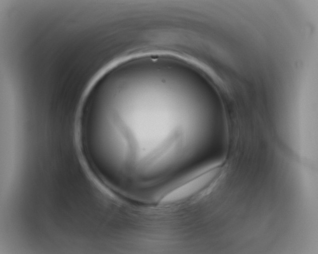 X0000114071518200910051328