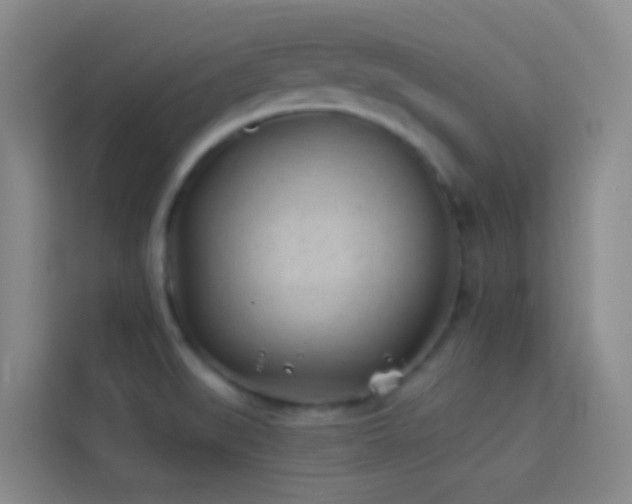 X0000114071519200910051328