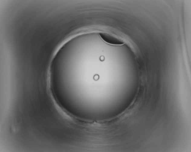 X0000114071524200910051328