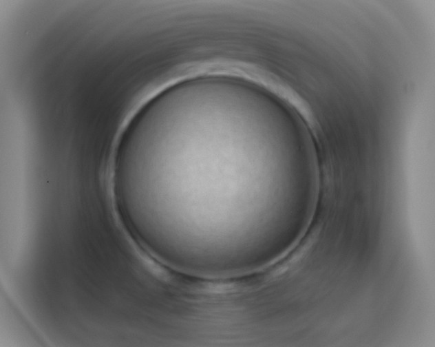 X0000114071525200910051328