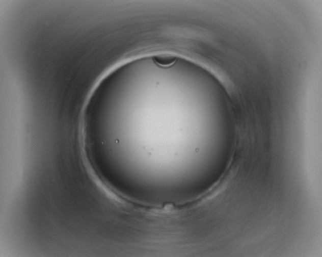 X0000114071526200910051328