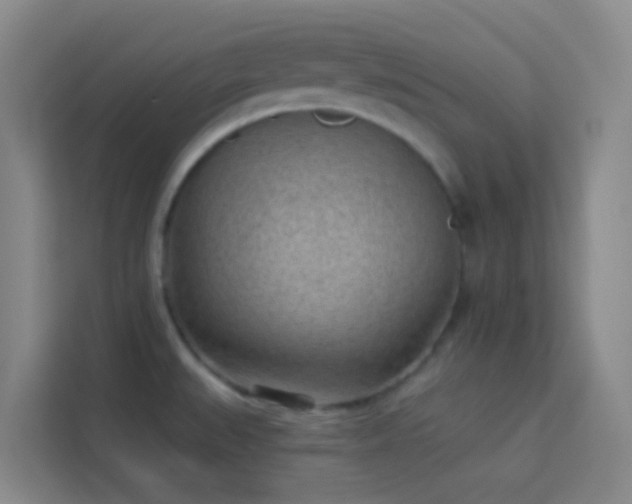 X0000114071527200910051328