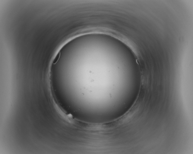 X0000114071532200910051328