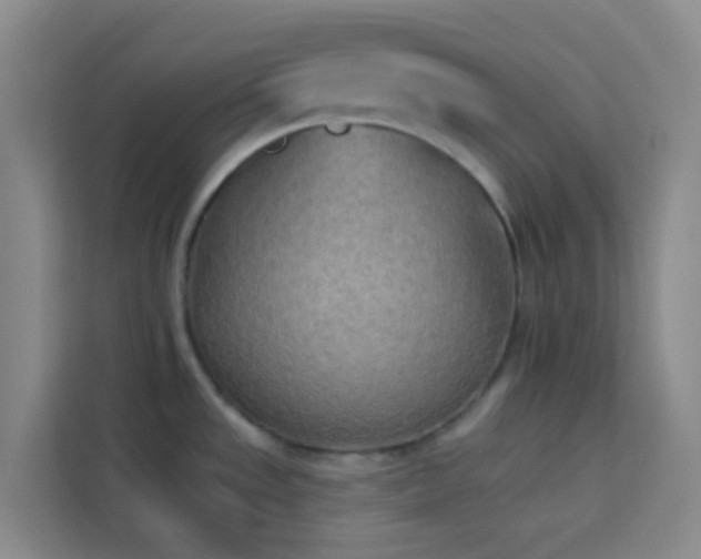 X0000114071533200910051328