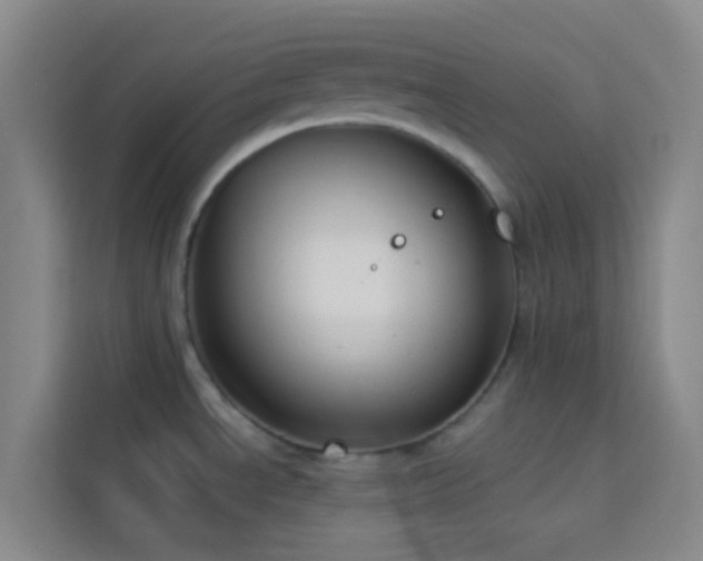 X0000114071534200910051328