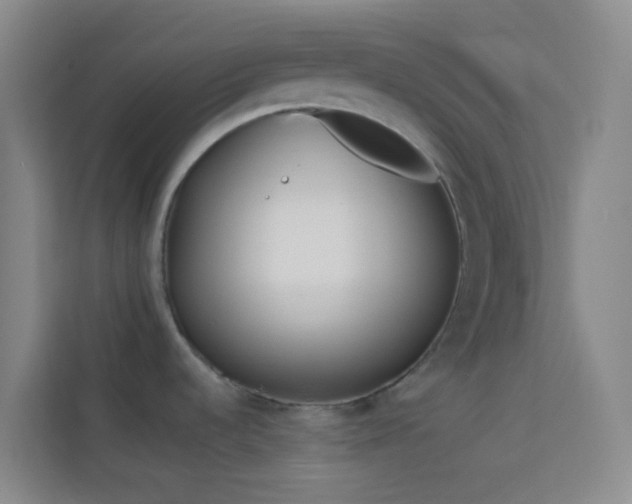 X0000114071536200910051328