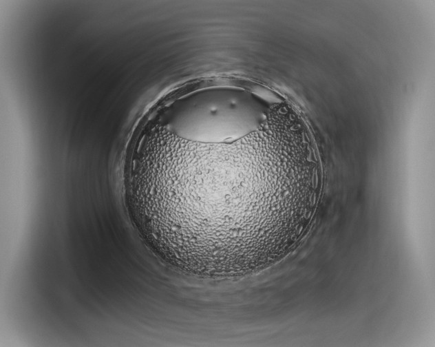 X0000114070002200910131216