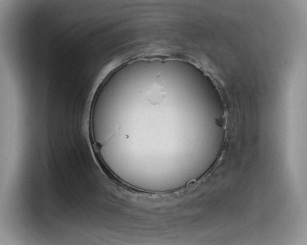 X0000114070003200910131216