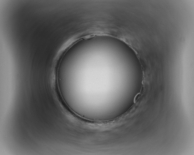 X0000114070005200910131216