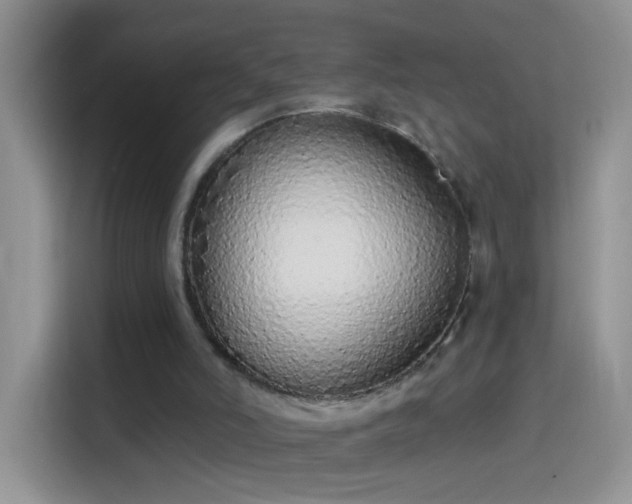 X0000114070006200910131216