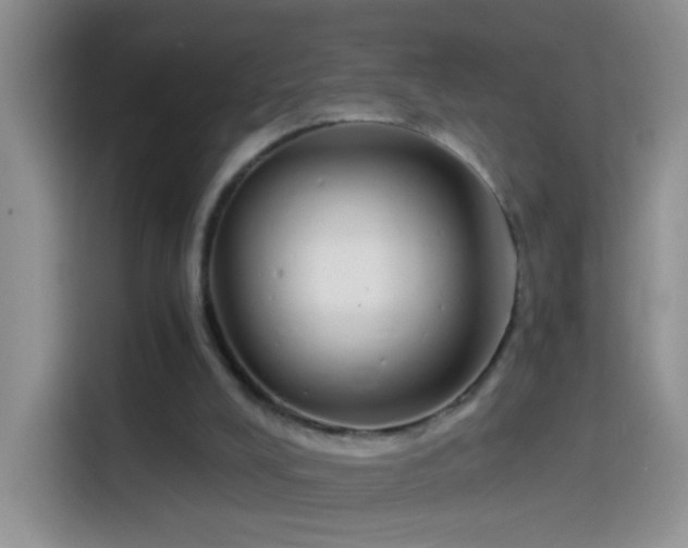 X0000114070008200910131215