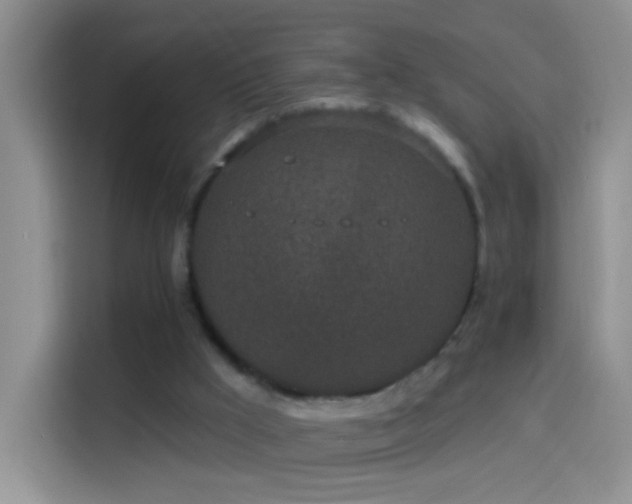 X0000114070009200910131215