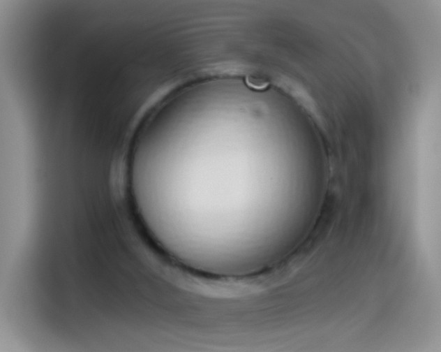 X0000114070012200910131215