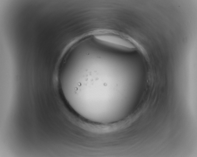 X0000114070015200910131215