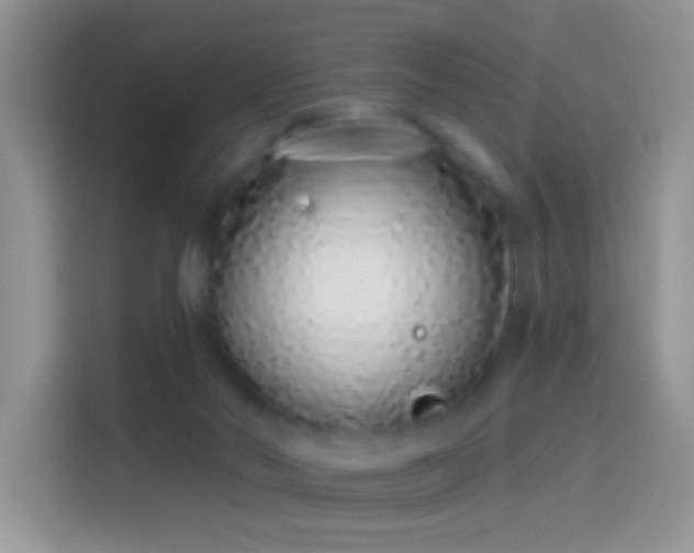 X0000114070022200910131215