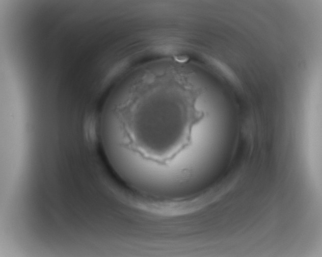 X0000114070023200910131215