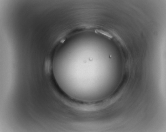 X0000114070024200910131215