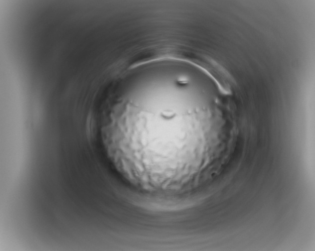 X0000114070026200910131215