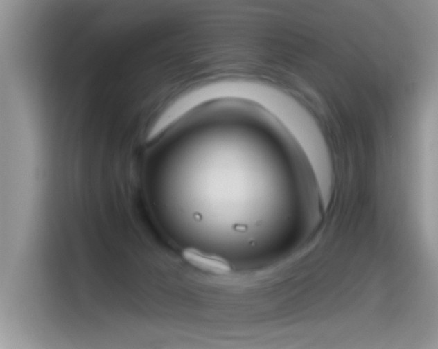 X0000114070029200910131215