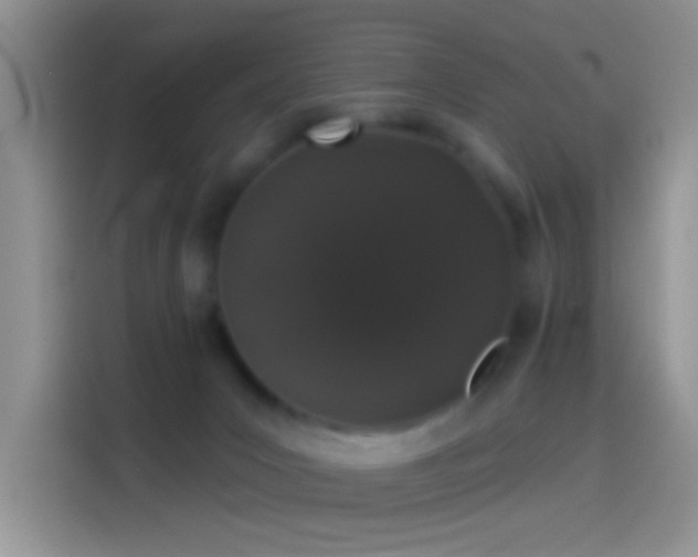 X0000114070031200910131215