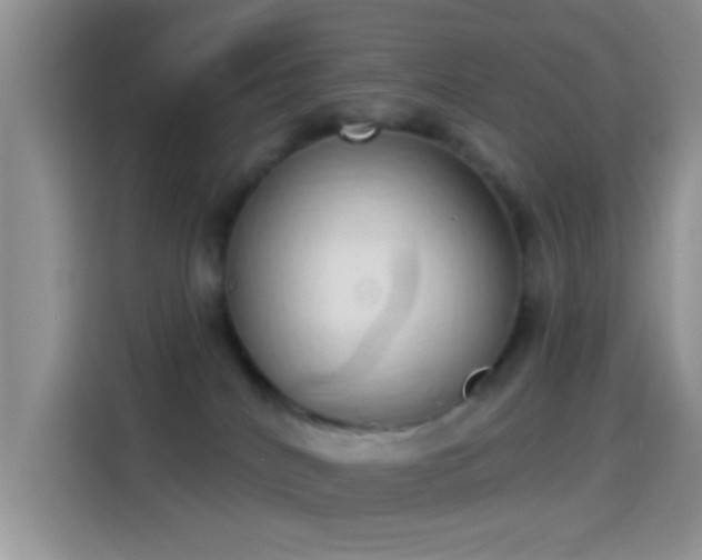 X0000114070040200910131215