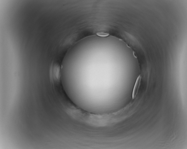 X0000114070041200910131215