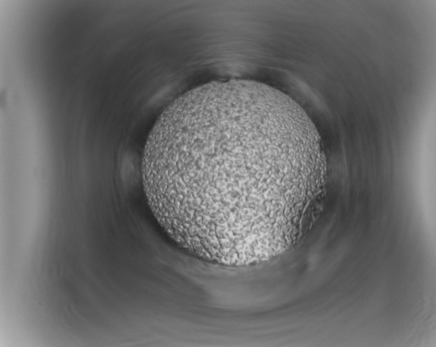 X0000114070043200910131215