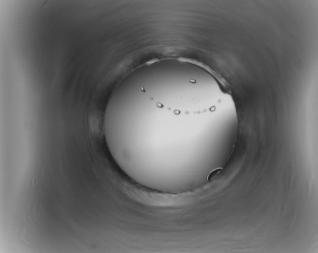 X0000114070044200910131215