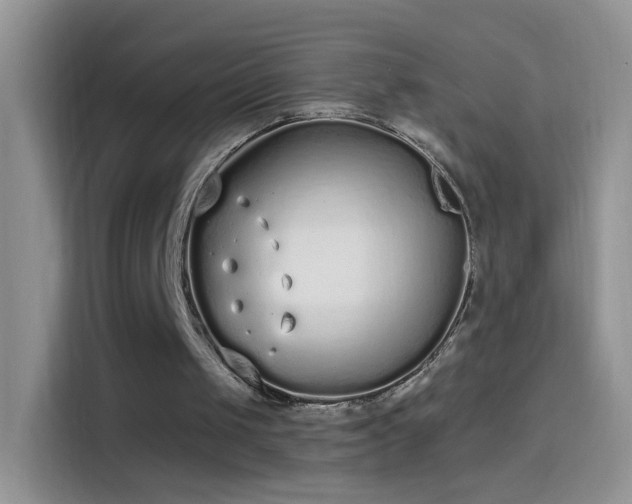 X0000114070049200910131214