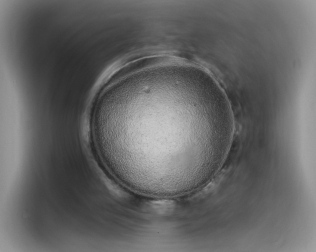 X0000114070053200910131214