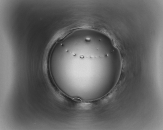 X0000114070055200910131214