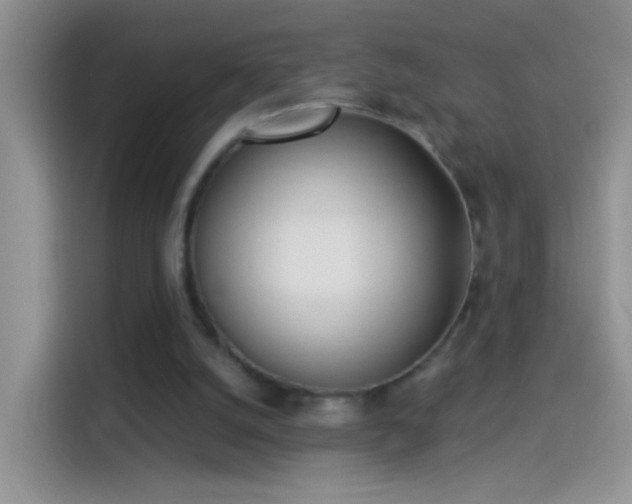 X0000114070056200910131214