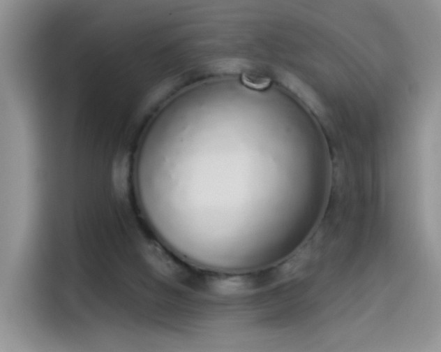 X0000114070058200910131214