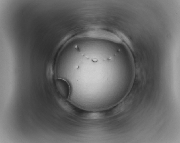 X0000114070059200910131214