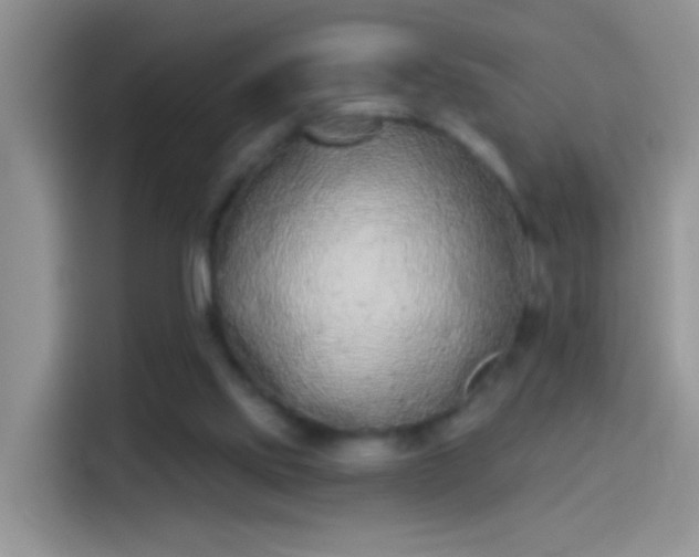 X0000114070061200910131214