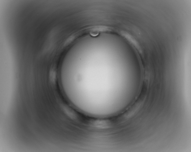 X0000114070063200910131215