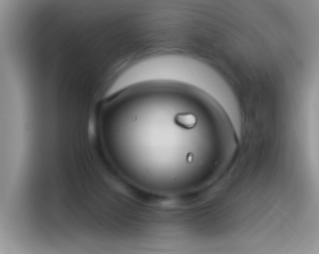 X0000114070068200910131215