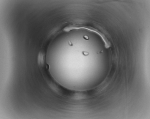 X0000114070070200910131215