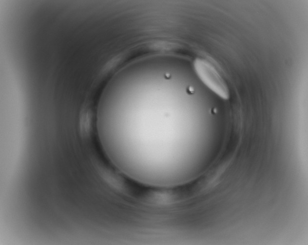 X0000114070071200910131215