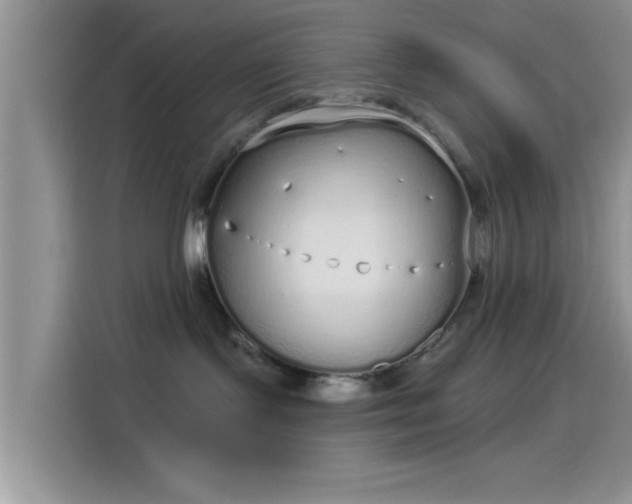 X0000114070095200910131215