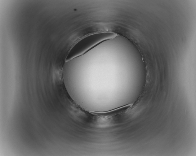 X0000114070096200910131215