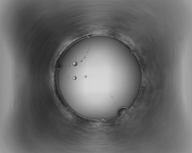 X0000114070098200910131214