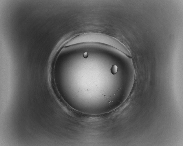 X0000114070101200910131214