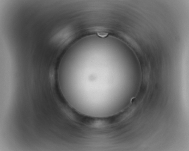 X0000114070111200910131214